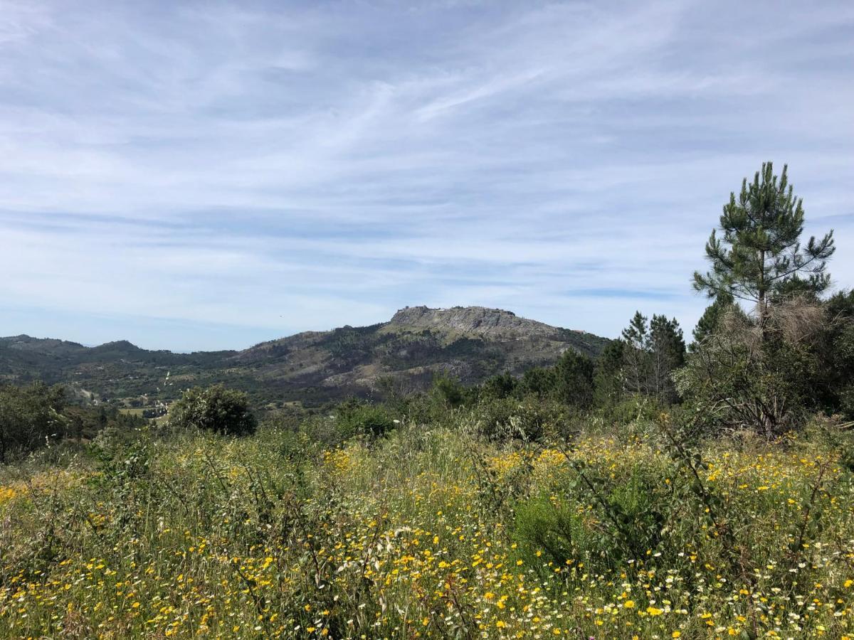 Varanda Do Alentejo Marvão المظهر الخارجي الصورة